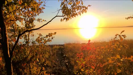 Pov-Goldene-Stunde-Herbst-Sonnenuntergang-Zu-Fuß-Durch-Die