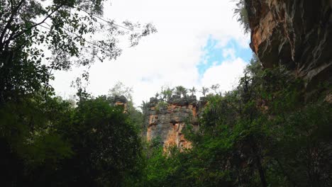 Tilting-up-shot-looking-up-at-a-big-looming-cliff-inside-of-a-self-contained-rain-forest-outside-of-the-famous-Lapa-Doce-cave-in-the-Chapada-Diamantina-National-Park-in-Bahia,-northeastern-Brazil