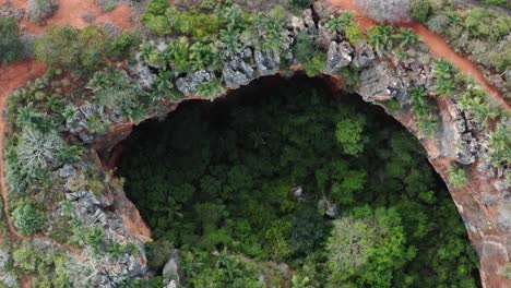 Aerial-drone-top-down-bird's-eye-medium-shot-of-the-Lapa-Doce-cave-entrance-with-a-self-contained-rainforest-below-in-the-Chapada-Diamantina-National-Park-in-Bahia,-northeastern-Brazil