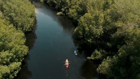 Vista-Aérea-De-Kayaks-En-El-Bosque-De-Manglares-En-El-Paredón,-Guatemala---Disparo-De-Drones