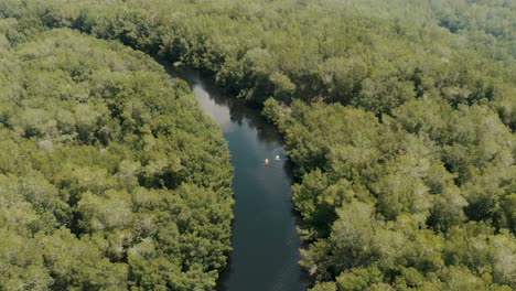 Vista-Aérea-De-Botes-De-Kayak-En-Un-Río-Con-Bosque-De-Manglares-En-El-Paredón,-Escuintla,-Guatemala