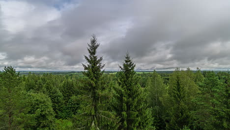 timelapse-of-clouds-moving-over-tree-tops-of-green-forest
