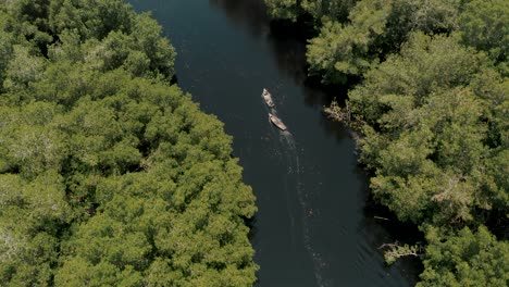 Wooden-Boats-On-The-River-In-Tropical-Rainforest-In-El-Paredon,-Guatemala---aerial-drone-shot