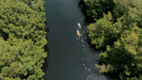 Kajakfahrer,-Die-Im-Kanu-Auf-Einem-Fluss-Im-Tropischen-Regenwald-In-Guatemala-Paddeln---Luftdrohnenaufnahme