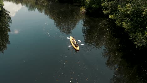 Couple-In-Kayak-In-Mangrove-Swamp-At-El-Paredon,-Guatemala---aerial-drone-shot