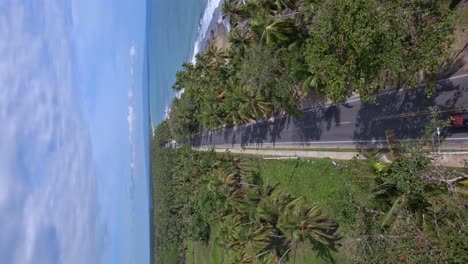 Cars-driving-on-road-between-palms-along-ocean,-Malecon-de-Nagua-in-Dominican-Republic