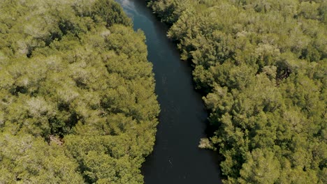 Fluss-Mit-Mangrovenbäumen-In-Der-Nähe-Des-Strandes-El-Paredón-In-Escuintla,-Guatemala