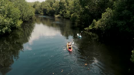Tourists-Kayaking-In-Mangrove-Forest-In-El-Paredon,-Guatemala---drone-shot