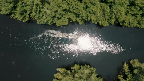Vogelperspektive-Von-Booten,-Die-Auf-Der-Lagune-Im-Mangrovenwald-Bei-El-Paredon,-Guatemala,-Segeln---Drohnenaufnahme