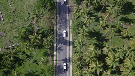 Cars-driving-along-road-between-palms,-Nagua-in-Dominican-Republic