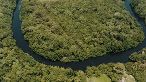 Aerial-View-Of-Mangrove-Swamp-Surrounded-By-Lush-Tropical-Rainforest-In-El-Paredon,-Guatemala---drone-shot