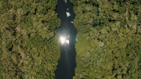 Abundante-Bosque-De-Manglares-En-El-Paredón,-Guatemala---Aéreo-De-Arriba-Hacia-Abajo