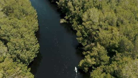 Aerial-View-Over-Mangrove-Forest-With-Kayaks-In-El-Paredon,-Guatemala---drone-shot
