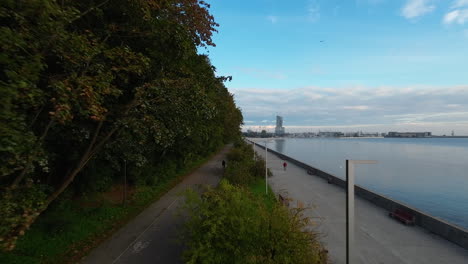Antenne,-Die-über-Esplanade-Mit-Bäumen-Im-Küstenboulevard-Von-Gdynia-Fliegt