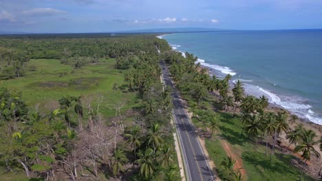 Road-between-palms-along-ocean,-Malecon-de-Nagua,-Dominican-Republic