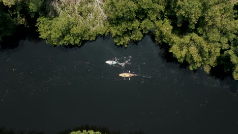 Vista-Aérea-Sobre-Kayaks-En-Un-Río-Panorámico-Rodeado-De-Exuberante-Vegetación-En-El-Paredón,-Guatemala---Disparo-De-Drones