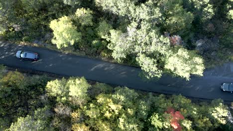 Two-cars-driving-along-a-forested-mountain-road---straight-down-aerial-view