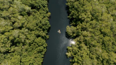 Kayak-En-La-Laguna-Y-El-Bosque-De-Manglares-En-El-Paredón,-Guatemala-Durante-El-Día---Vista-Aérea-De-Arriba-Hacia-Abajo