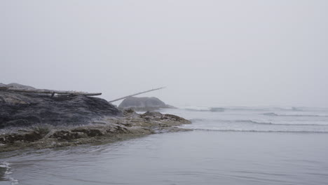 Foggy-ocean-scenery-with-driftwood-lying-on-a-rock