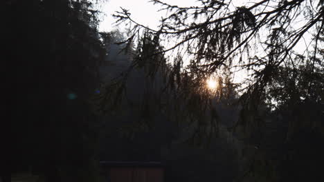 Sunrise-in-Forest,-Morning-Sunlight-Through-Trees-and-Branches-in-Park-in-Summer-Season,-Sunny-Weather-and-Vegetation-at-Caumasee-Flims-Area-Switzerland,-Tracking-Sideways-Shot