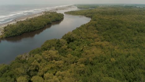 Lush-Mangrove-Forest-With-Rivermouth-In-El-Paredon,-Guatemala