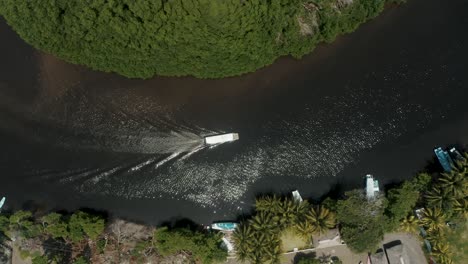 Tourist-Boat-Sailing-On-The-River-In-Tropical-Rainforest-Of-El-Paredon,-Guatemala---aerial-top-down