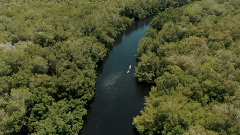 Boats-On-A-Beautiful-Mangrove-Forest-In-El-Paredon,-Guatemala---aerial-pullback