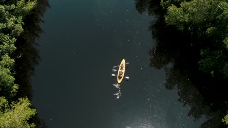 Vista-De-Pájaro-Sobre-Una-Pareja-De-Kayak-En-El-Bosque-De-Manglares-En-El-Paredón,-Guatemala---Toma-Aérea-De-Drones