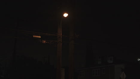 Close-up-video-of-a-streetlight-or-lamplight-illuminating-the-street-of-Los-Angeles-at-night