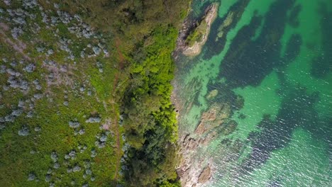 Luftaufnahme-Der-Galicischen-Küste-Aus-Der-Vogelperspektive-Neben-Grünem,-Türkisfarbenem-Wasser,-Das-Im-Sonnenlicht-Schimmert