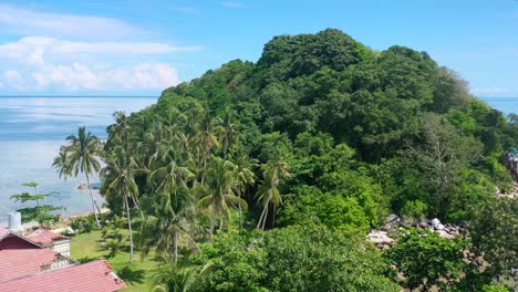 Antenne-Von-Kokospalmen-Auf-Der-Tropischen-Insel-Galgant-In-Belitung-Indonesien