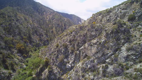 Arial-Footage-from-Angeles-National-Forest-ravine-in-California-United-States