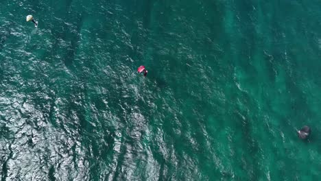 World-class-windsurfing-in-Ho'okipa-Maui,-USA
