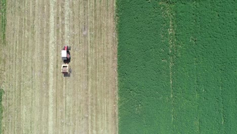 aerial-top-down-farm-land-split-in-two-color,-harvesting-season-work-in-progress