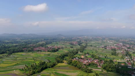 Iconic-Indonesia-landscape-of-rice-fields-and-small-towns,-aerial-view