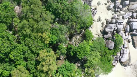 Luftbild-Von-Oben-Nach-Unten-über-Den-Tropischen-Dschungel-Und-Den-Weißen-Sandstrand-In-Belitung-Indonesien