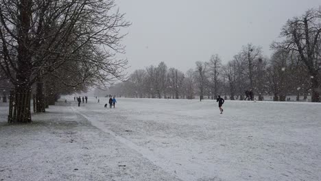 People-and-dogs-in-a-heavy-snowfall-in-a-UK-park-setting