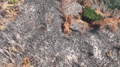 Vista-Aérea-De-Drones-Del-Bosque-Quemado-Y-El-Paisaje-Rural,-Secuelas-De-Incendios-Forestales