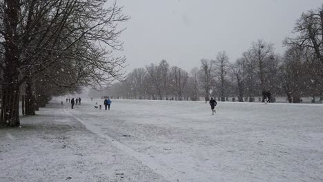 Menschen-Zu-Fuß-Durch-Starken-Schneefall-In-Einer-Britischen-Parklandschaft
