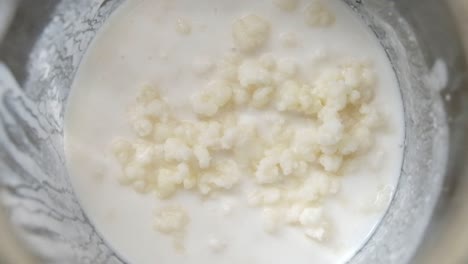 Milk-Kefir-in-a-glass-jar-with-organic-cows-milk