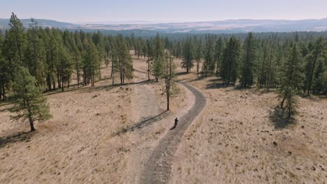Aerial-view-following-man-riding-motorcycle-through-forest-road
