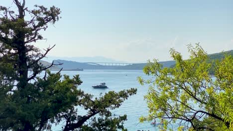 View-through-the-treetops-of-the-sea,-the-yacht-and-the-Krk-bridge,-Croatia