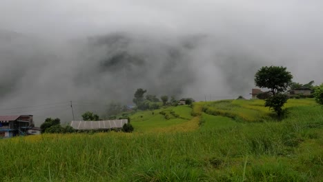 Ein-Schöner-Blick-Auf-Die-Grünen-Terrassierten-Reisfelder-An-Einem-Hang-Mit-Einem-Regensturm-Und-Dichtem-Nebel,-Der-Sich-Durch-Das-Tal-Bewegt