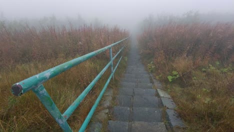 the-bushes-and-grass-in-the-mist-swayed-in-the-wind-near-the-garden-steps