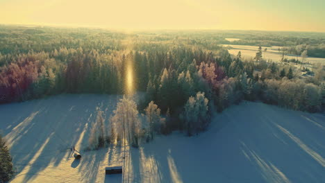 Aerial-drone-panoramic-view-over-frozen-landscape-and-coniferous-forest-at-sunset