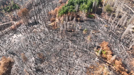 Aerial-View,-Burned-Forest-and-Land,-Natural-Distaster-in-Countryside-Landscape,-Revealing-Drone-Shot