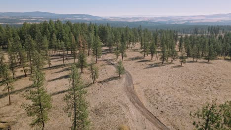 Aerial-view-following-motorcycle-down-remote-forest-service-road