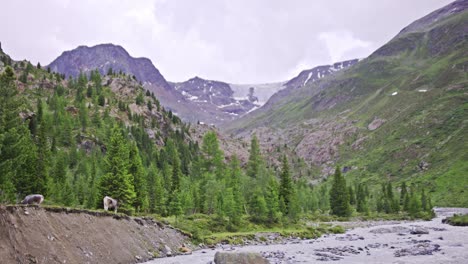 Paisaje-Escénico-Con-Un-Rápido-Río-Glaciar-De-Montaña-Que-Fluye-Entre-Piedras-Rocosas,-Increíble-Hito-Natural,-Kaunertall,-Tirol