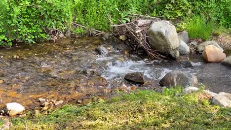 Small-Pristine-Stream-Flows-In-The-Woods,-Croatia