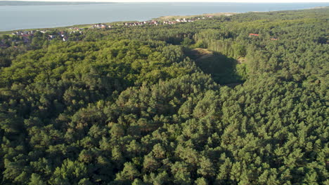 Luftaufnahme-Von-Dichten-Waldbäumen-Bei-Krynica-Morska-Mit-Küstenlinie-In-Der-Ferne